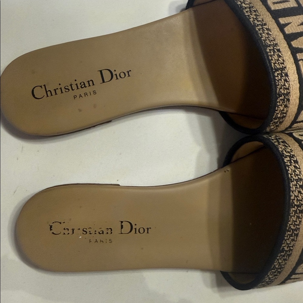 DIOR slide - Picture 6 of 14